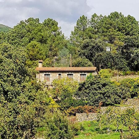 Casa Rural En Candeleda Con Piscina Y Un Maravilloso Jardin Luaran gambar