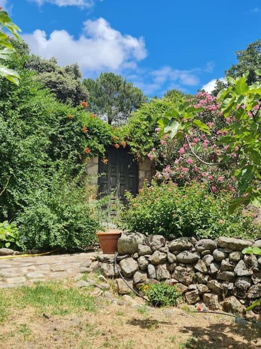 Casa Rural En Candeleda Con Piscina Y Un Maravilloso Jardin Luaran gambar
