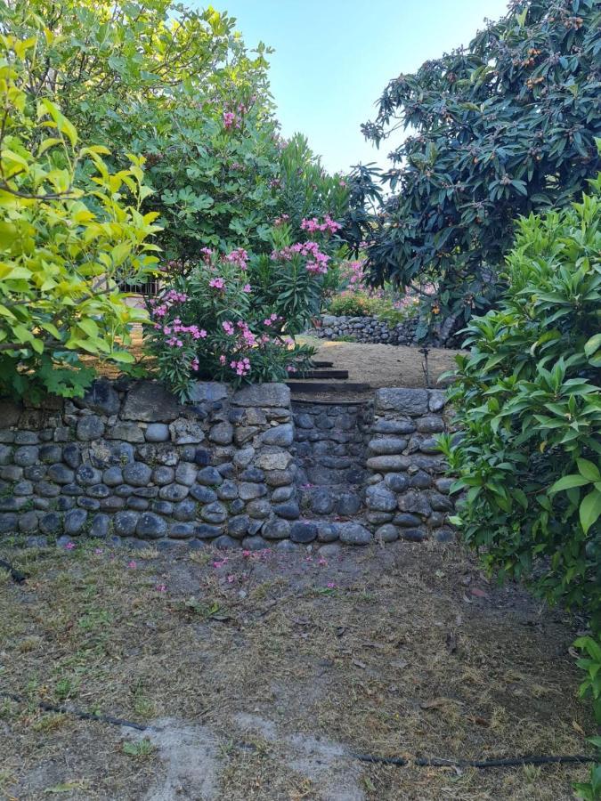 Casa Rural En Candeleda Con Piscina Y Un Maravilloso Jardin Luaran gambar