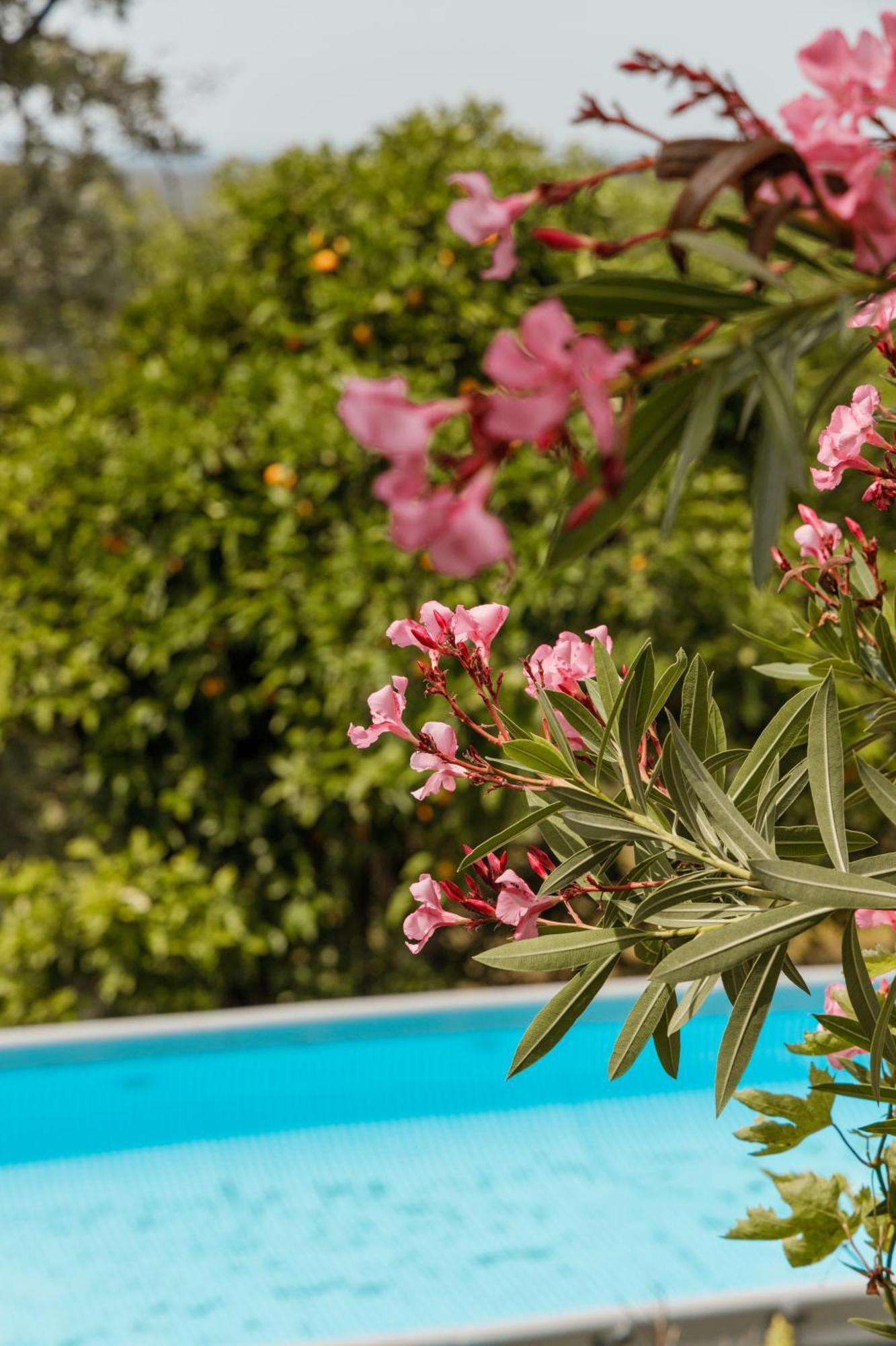 Casa Rural En Candeleda Con Piscina Y Un Maravilloso Jardin Luaran gambar