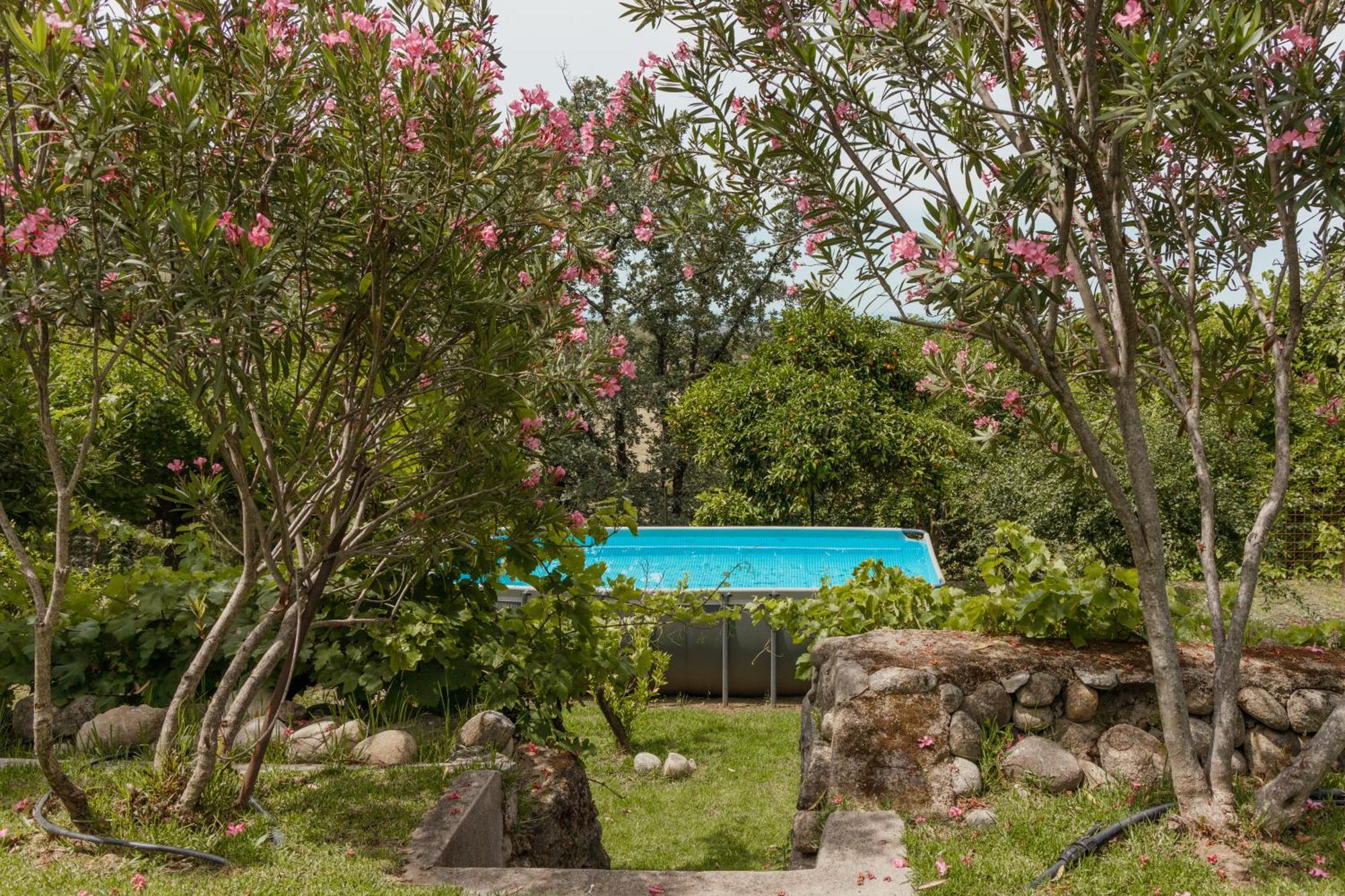 Casa Rural En Candeleda Con Piscina Y Un Maravilloso Jardin Luaran gambar
